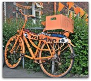 orange_bike